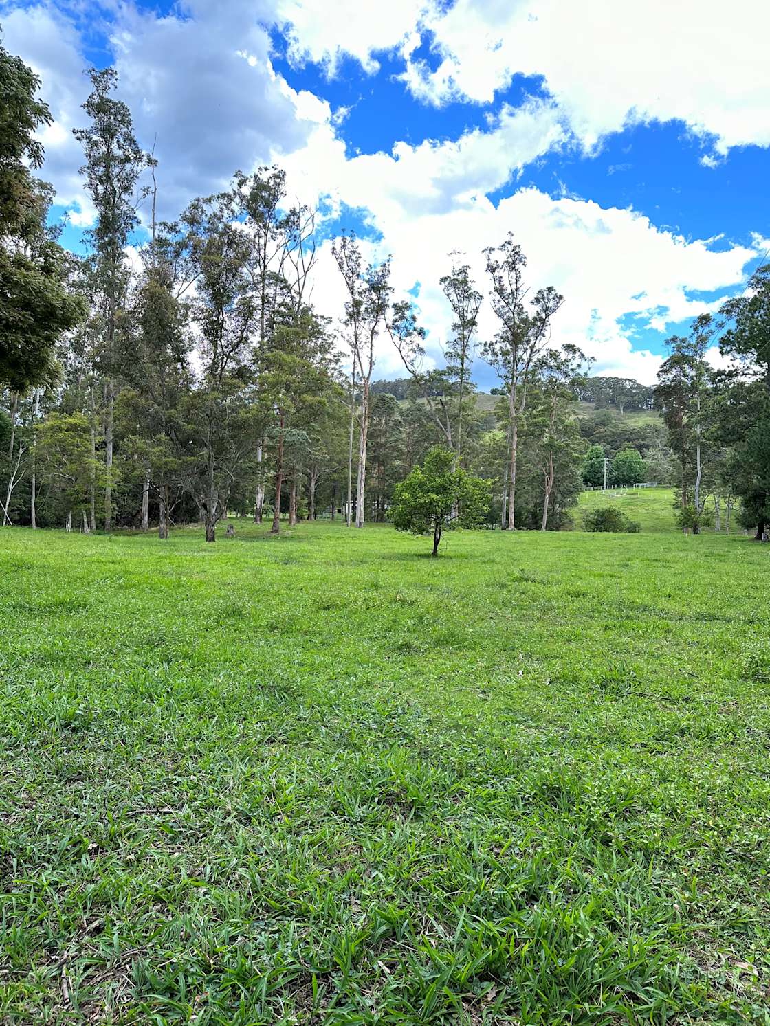 Privada Farm Paddock Hipcamp In Boambee New South Wales