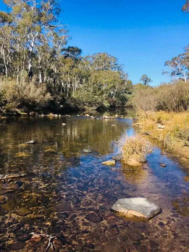 Dam Camp Bush Block Hideaway Hipcamp In Krawarree New South Wales