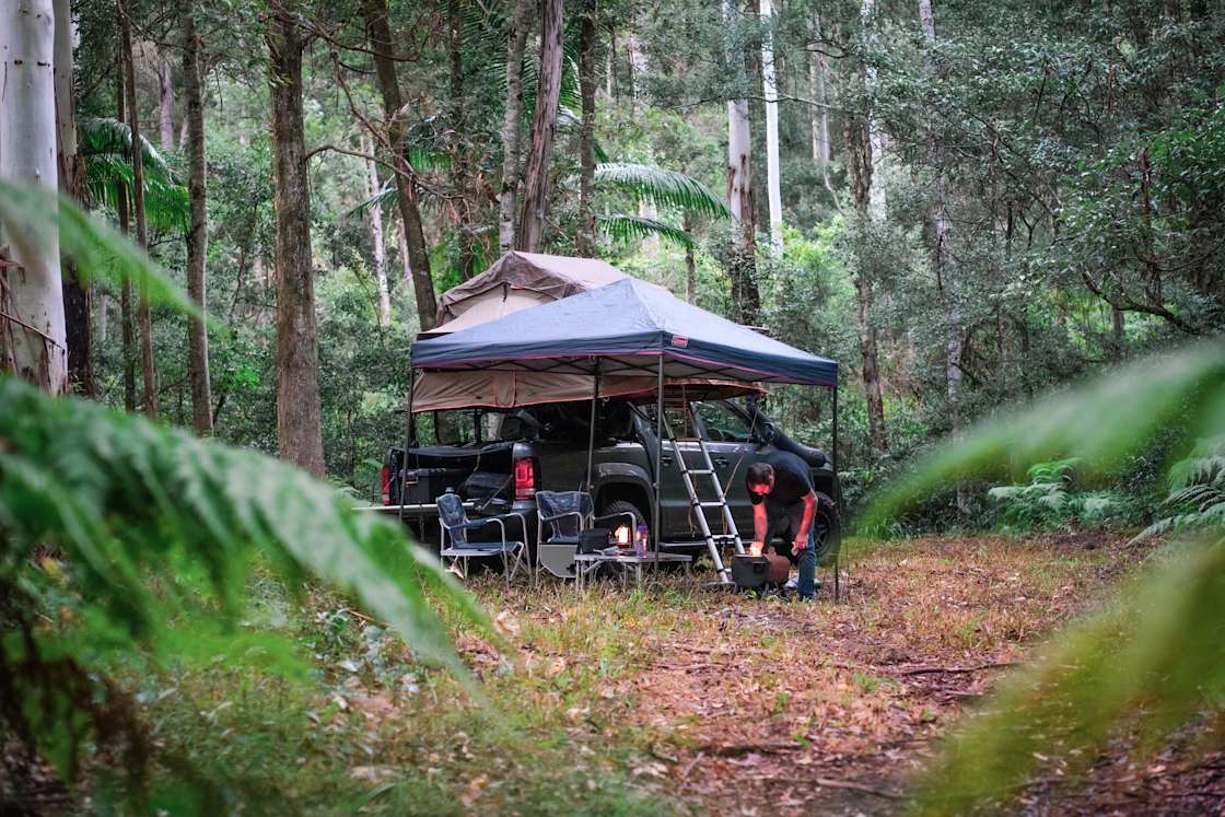 Dalla Nature Reserve Hipcamp In Ocean View Queensland