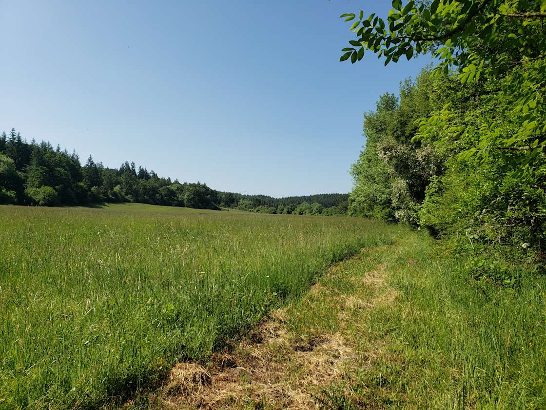 Circle C Farm Hipcamp In Yamhill Oregon