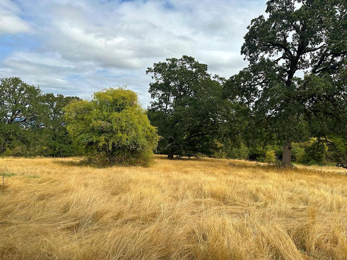 Ruby Rose Farms Hipcamp In Yamhill Oregon