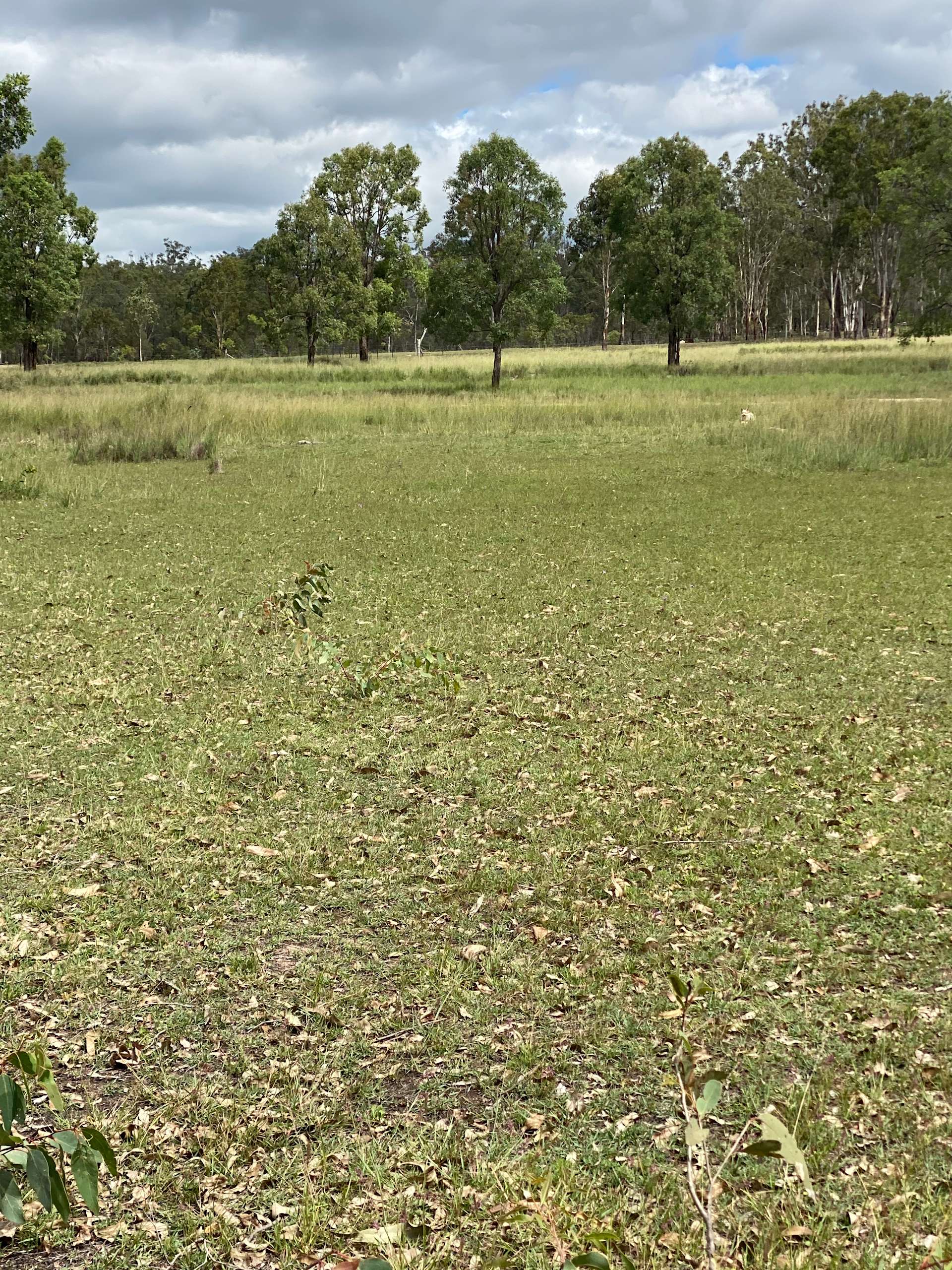 The Farm Hipcamp In Ballogie Queensland