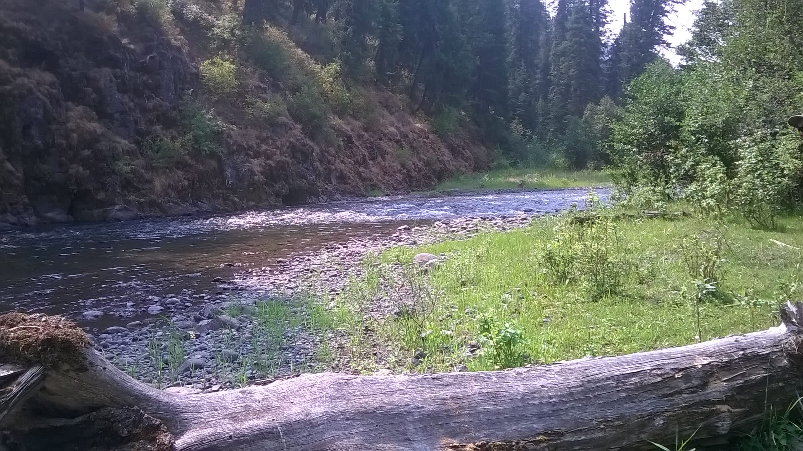 Northern Star Pallette Ranch Hipcamp In Oregon