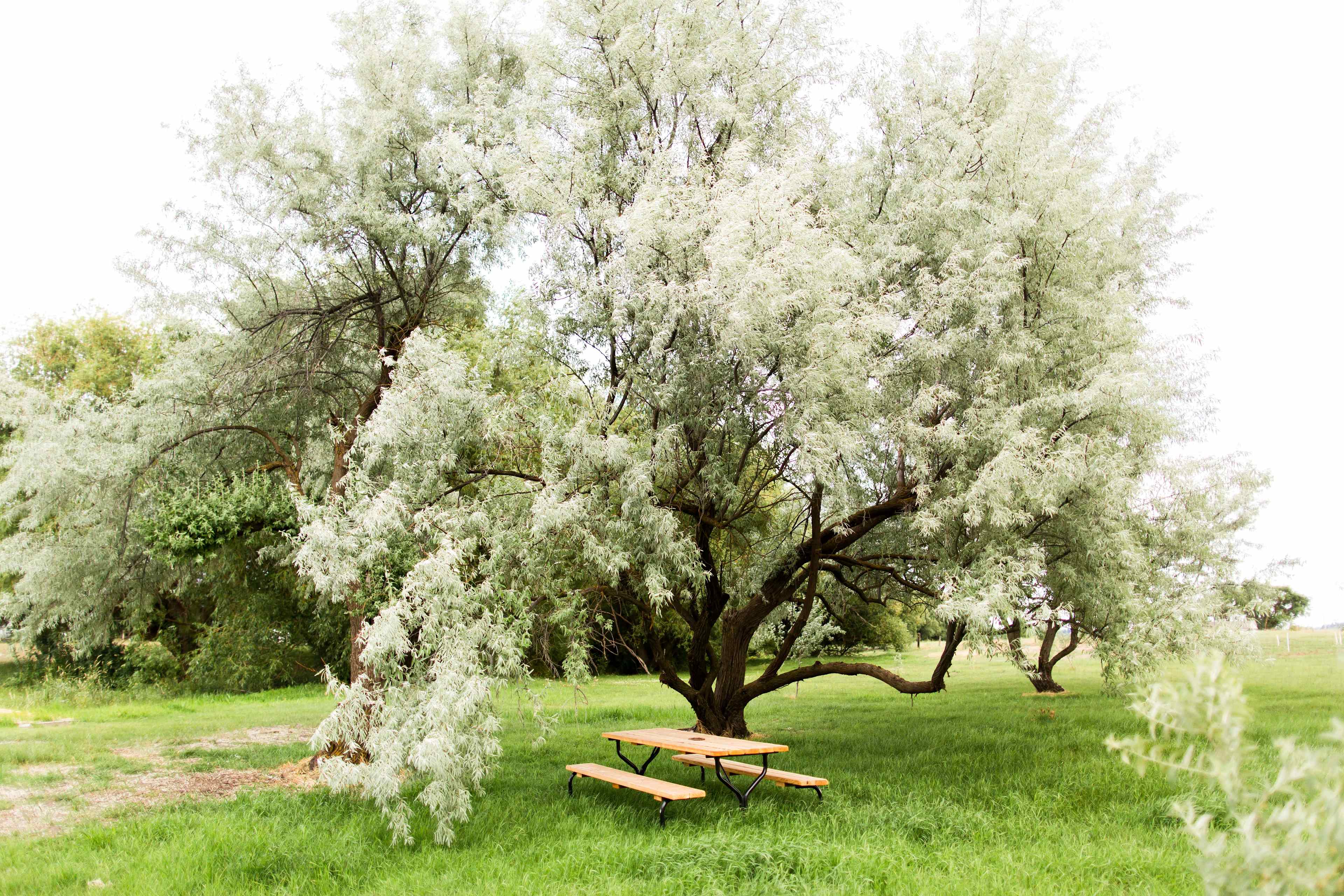 Willow Creek Retreat