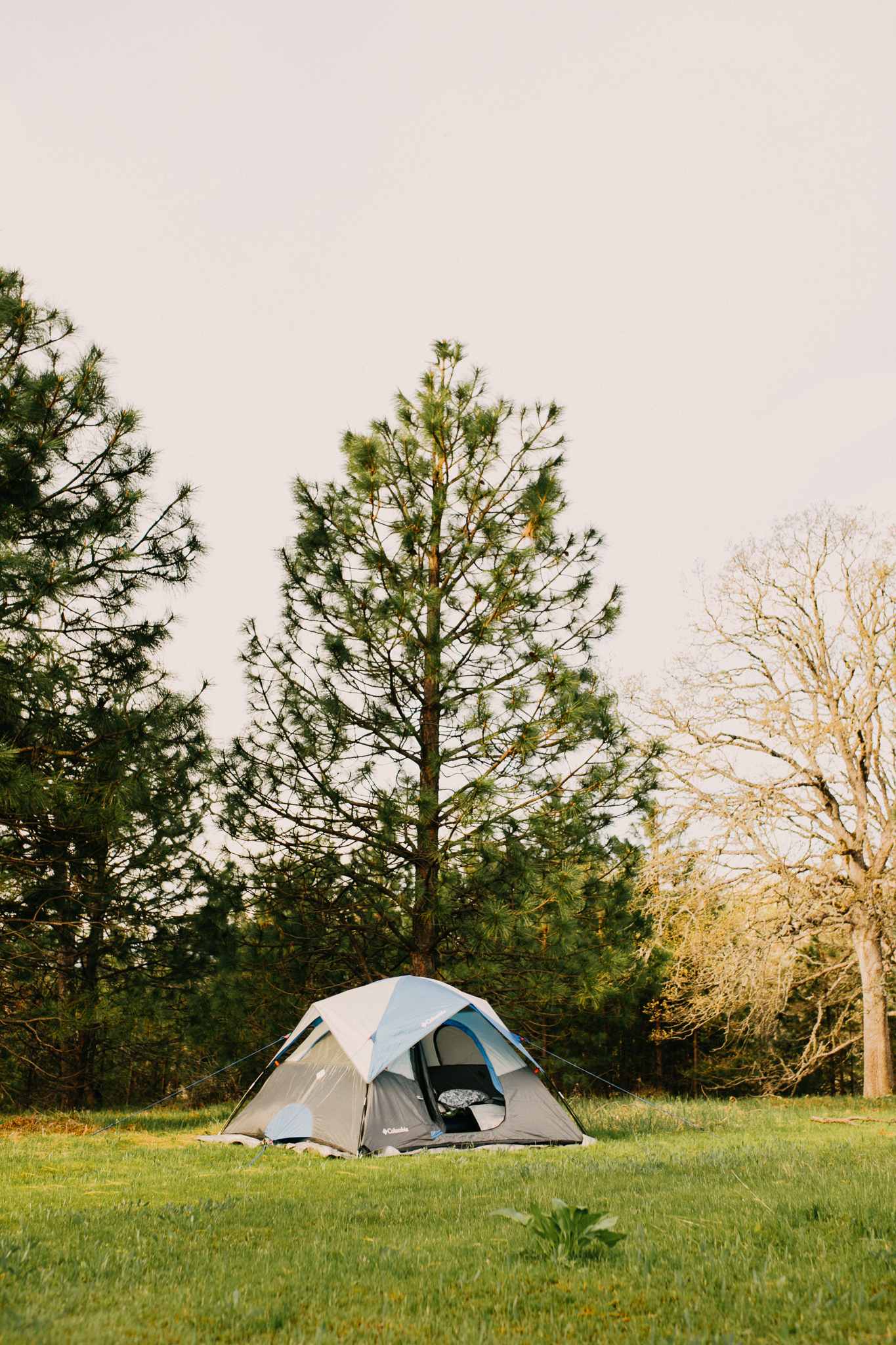 Our spot