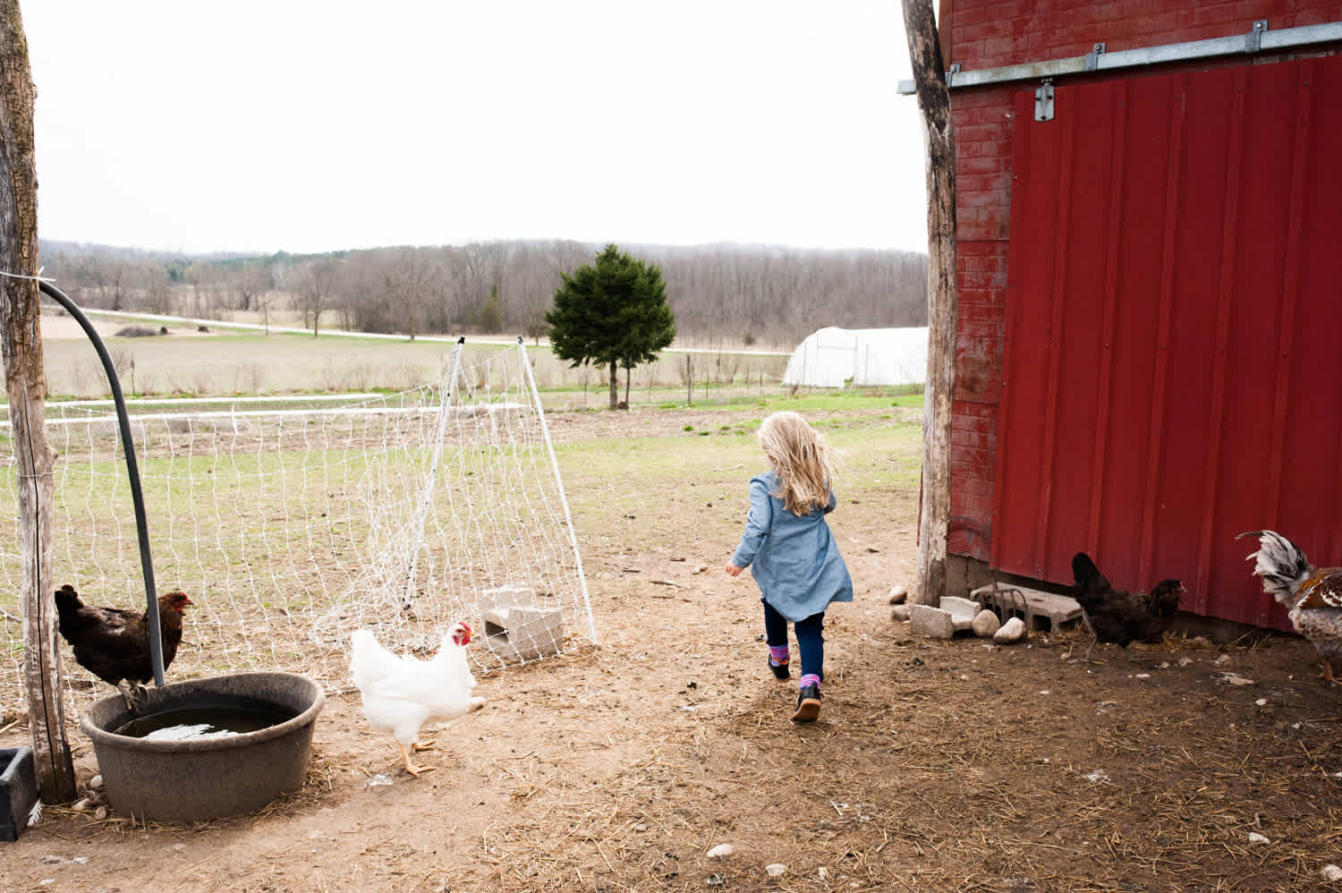 Resident kiddo on the farm.