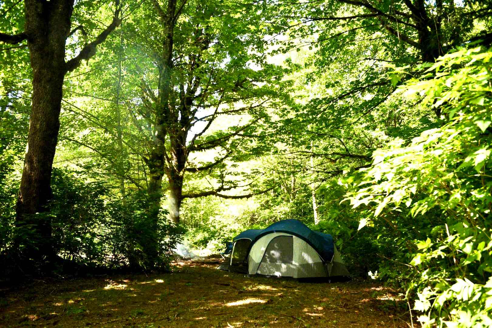 Group site (#2)
