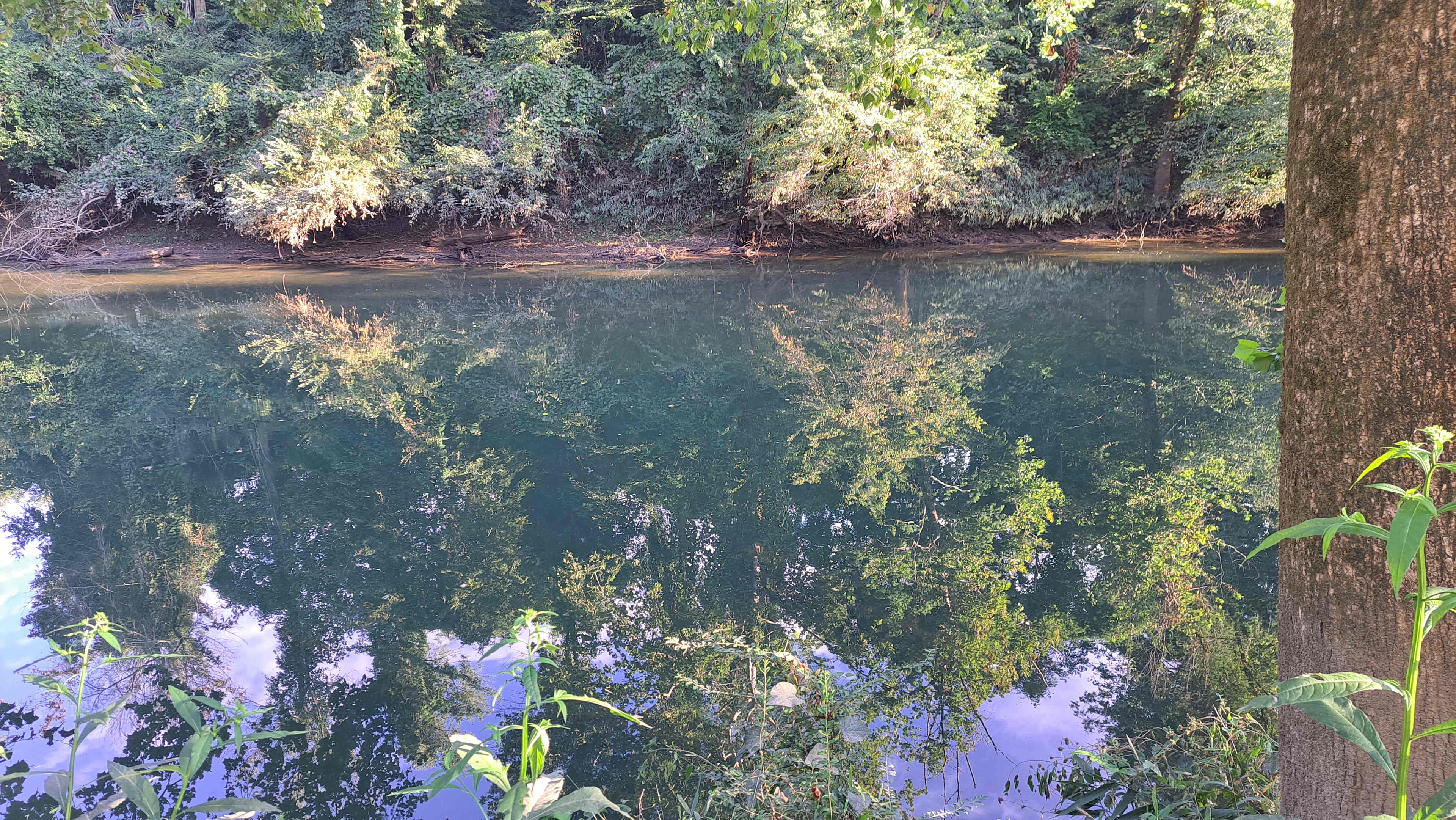 View of the river, sun was setting