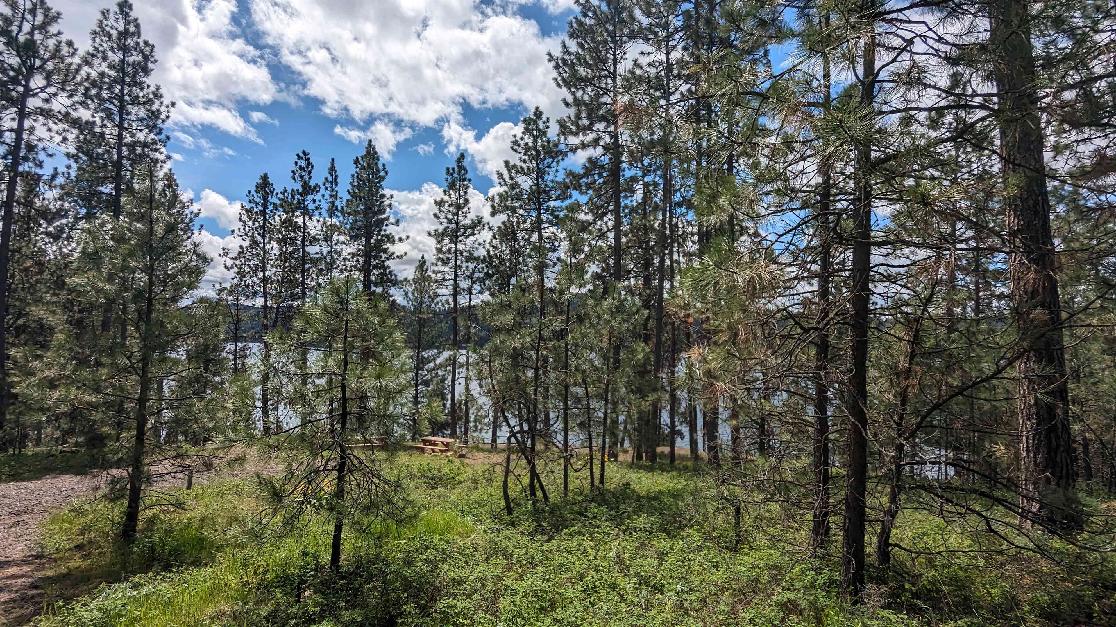 Harrison Bluffs Campground