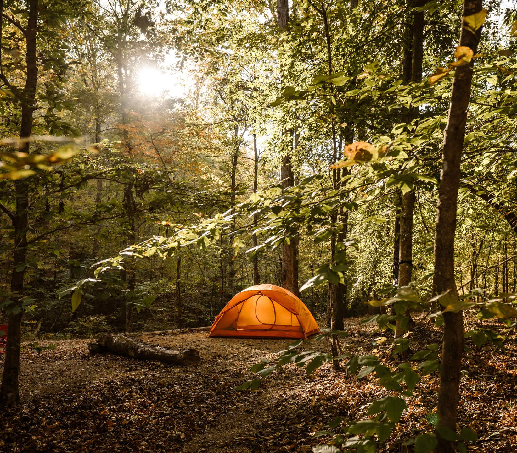 Orange tent in a sunlit forest