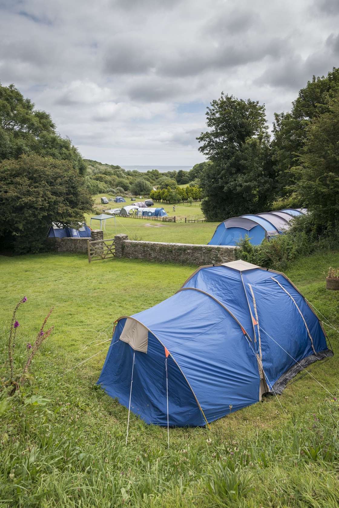 Beryl's Campsite Hipcamp in Devon, England