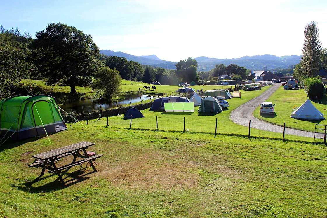 Coed y outlet brenin camping