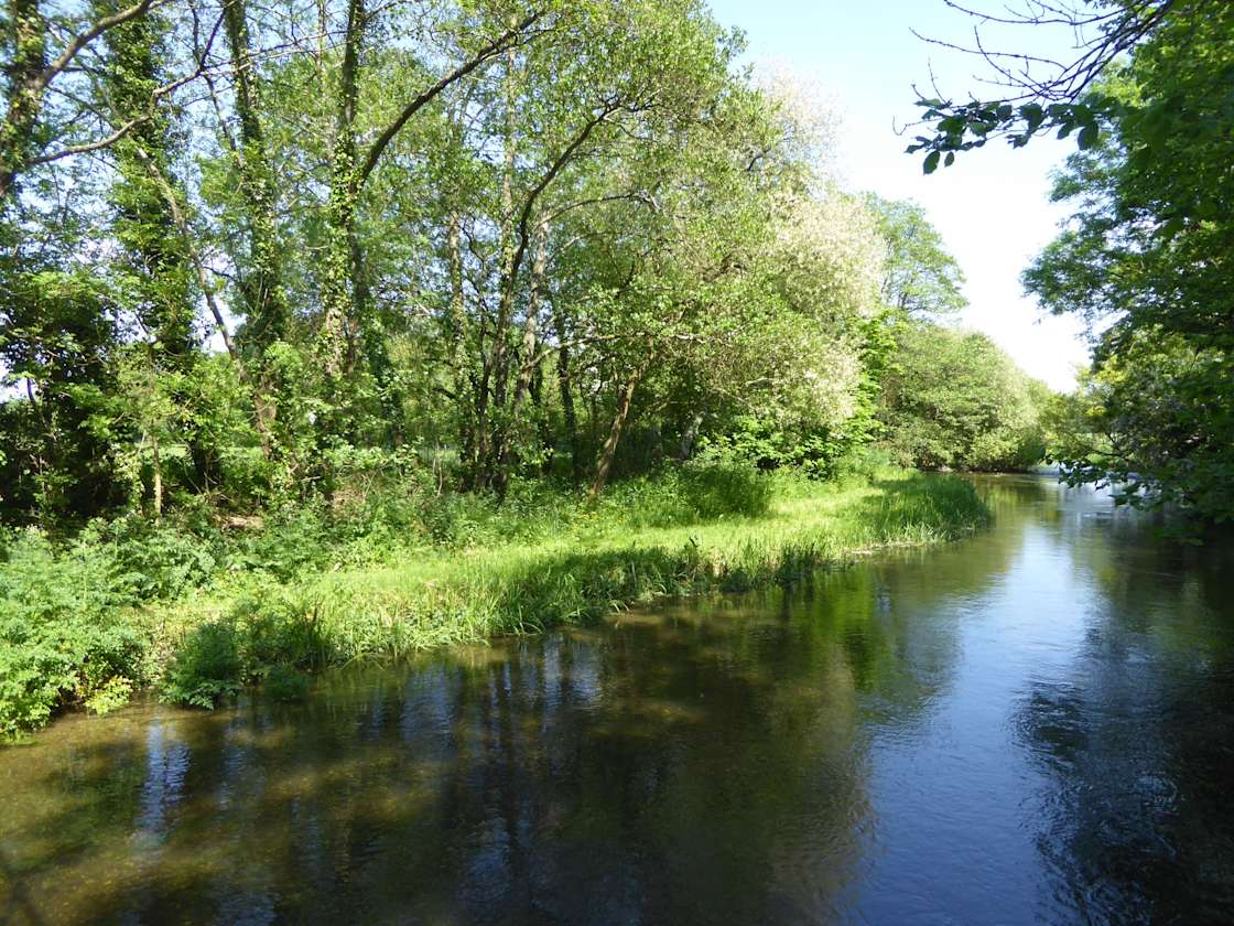 Frome Meadow Campsite - Hipcamp in Dorset, England