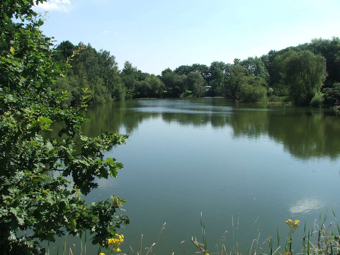 Lyneham Lake - Hipcamp in Oxfordshire, England