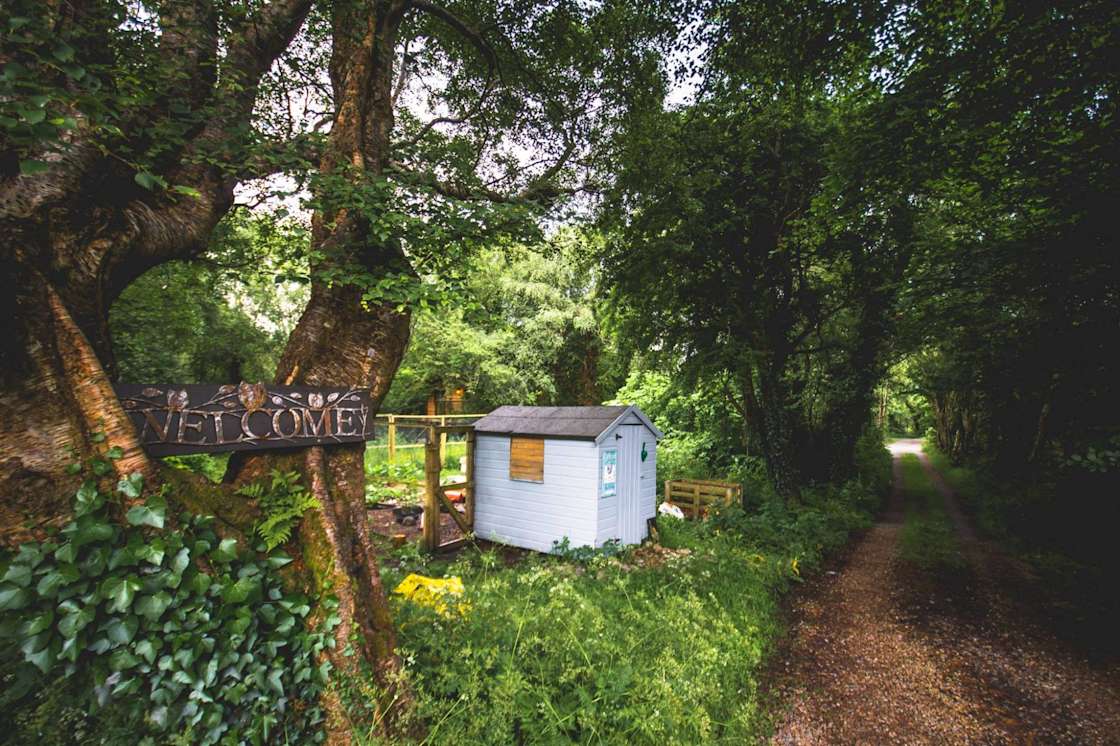 Teapot Lane Glamping Hipcamp