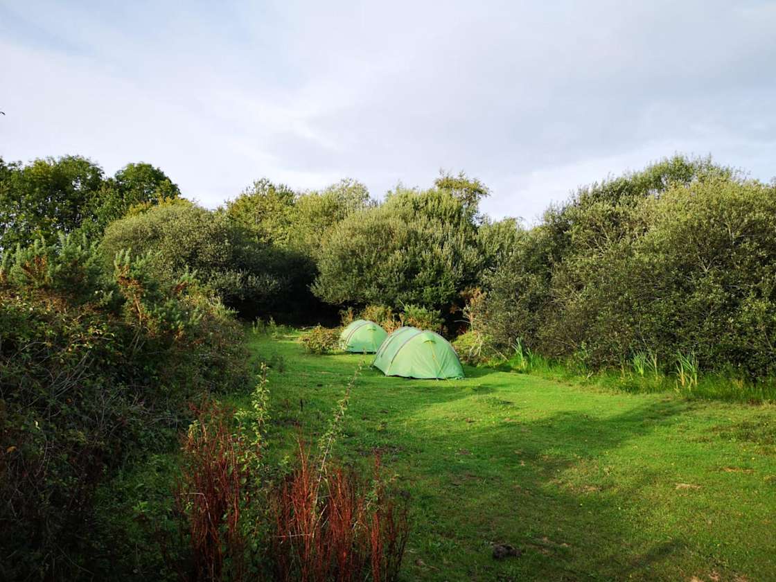 The View Camping Hipcamp in Dorset, England