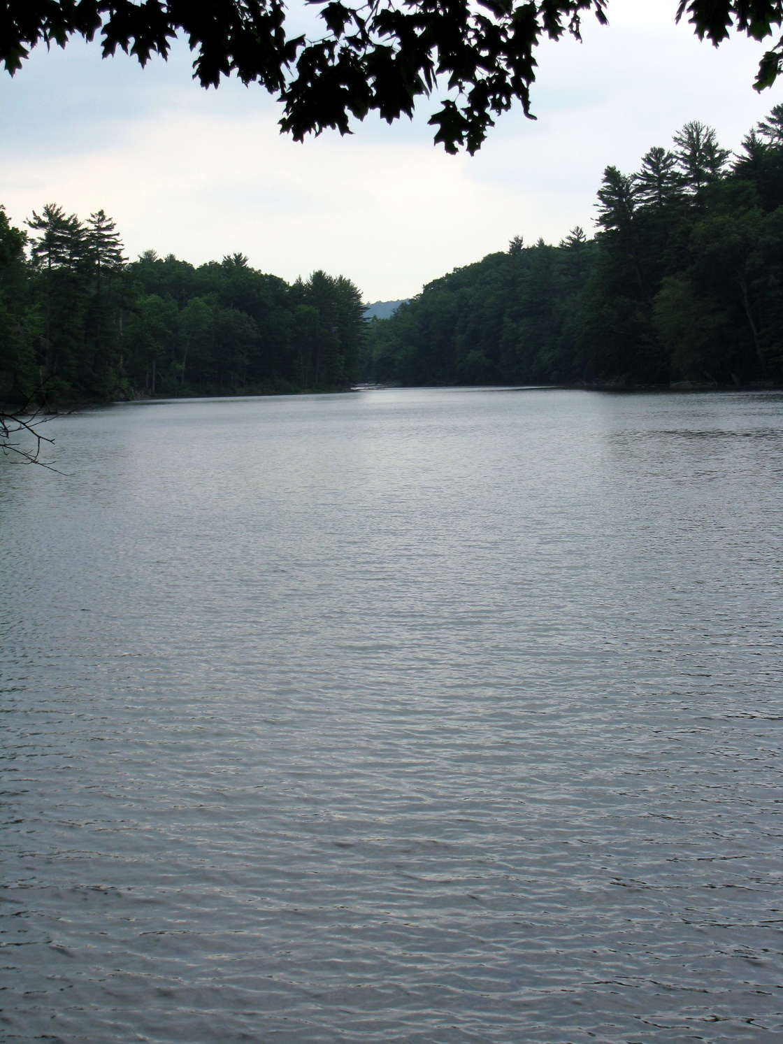 The Swim Pond at Olin Springs - Hipcamp in Mount Vision, New York
