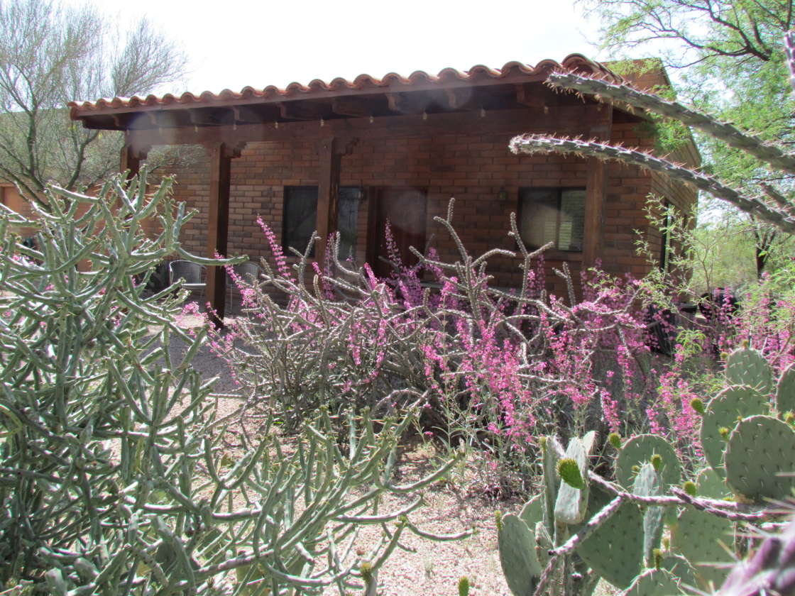 Desert Trails B&B - Hipcamp In Tanque Verde, Arizona