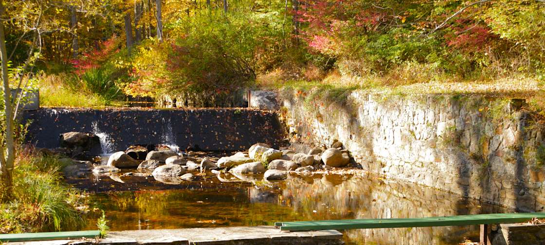 Trout Brook Campsite Hipcamp in Crandon Lakes, New Jersey