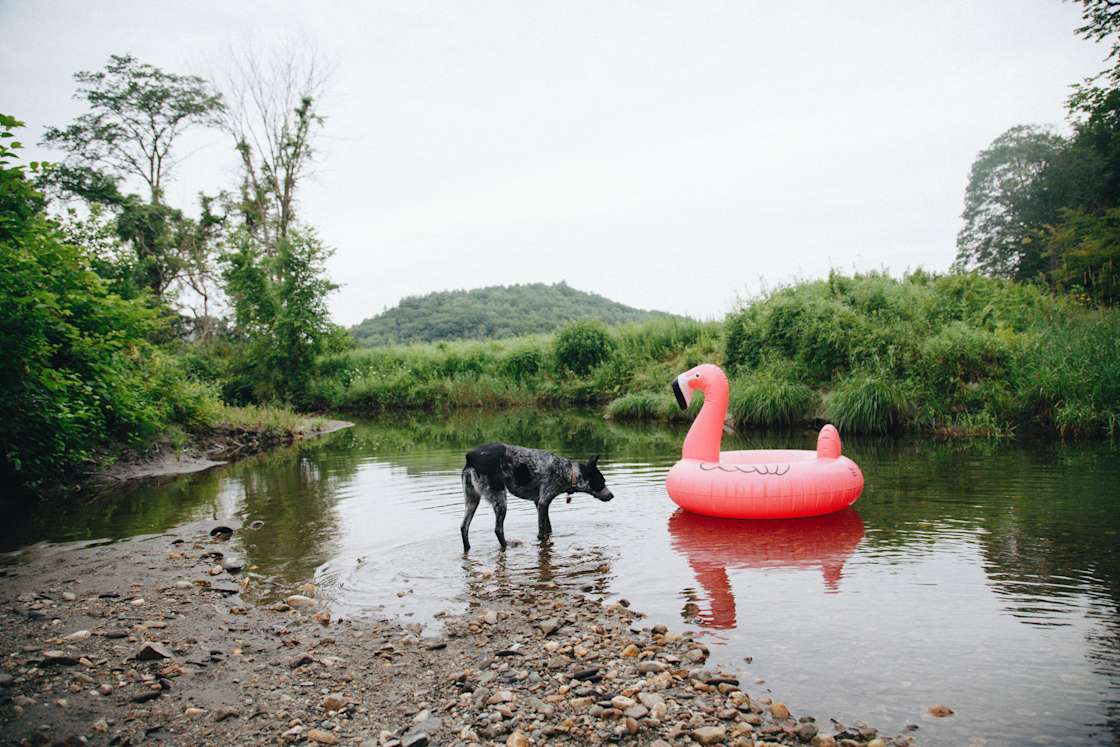 Greenbush Farm Hipcamp in Weathersfield, Vermont