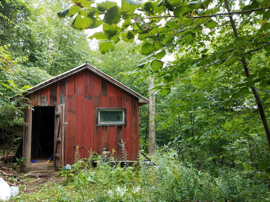 Forest Cabin, Richford, NY Hipcamp in Berkshire, New York
