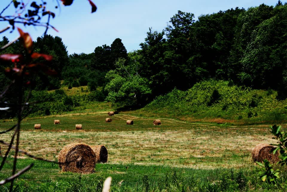 Perfect Valley Farm Hipcamp in West Fulton, New York