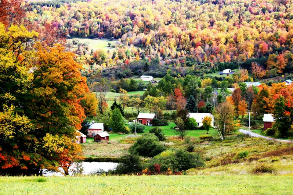 Perfect Valley Farm Hipcamp in West Fulton, New York