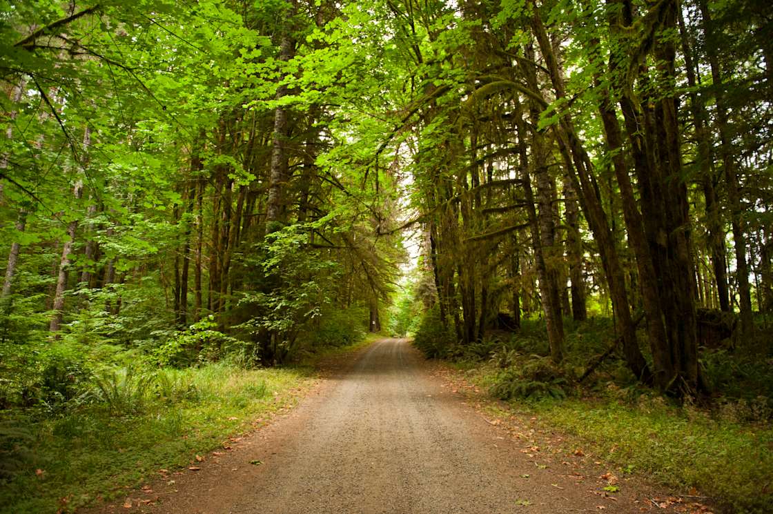 The Triangle Lake Center Hipcamp in Blachly, Oregon
