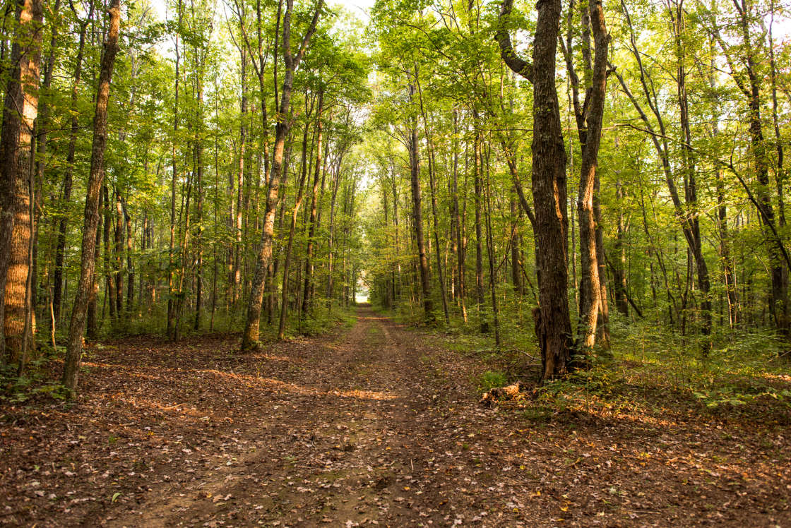 belle-and-beau-acres-hipcamp-in-baxter-tennessee