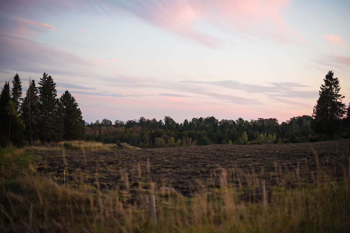 Thornhill Farm Hipcamp in Greensboro Bend, Vermont