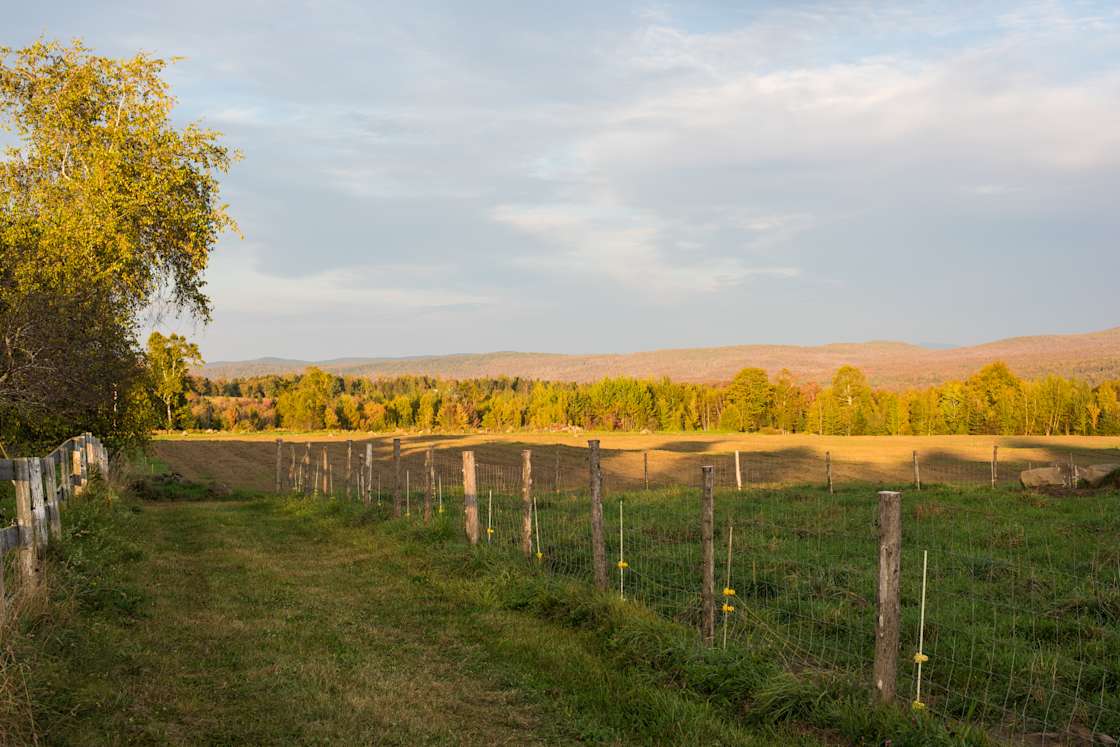 Thornhill Farm Hipcamp in Greensboro Bend, Vermont