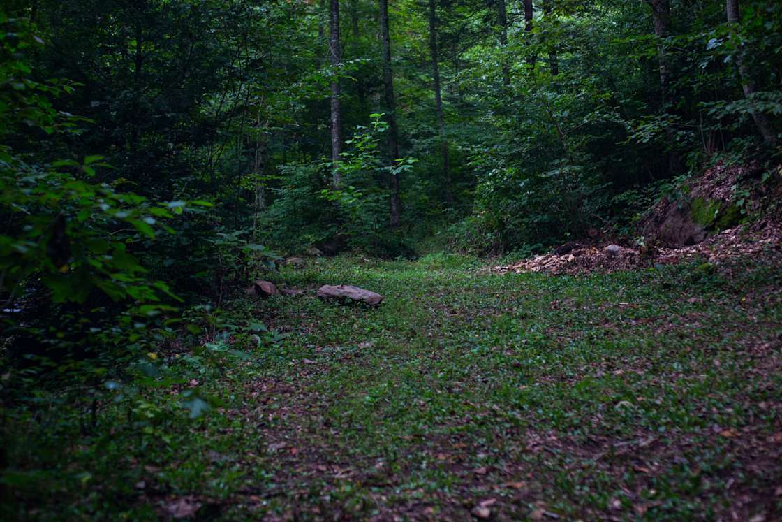 Mandala Springs Hipcamp in Barnardsville, North Carolina