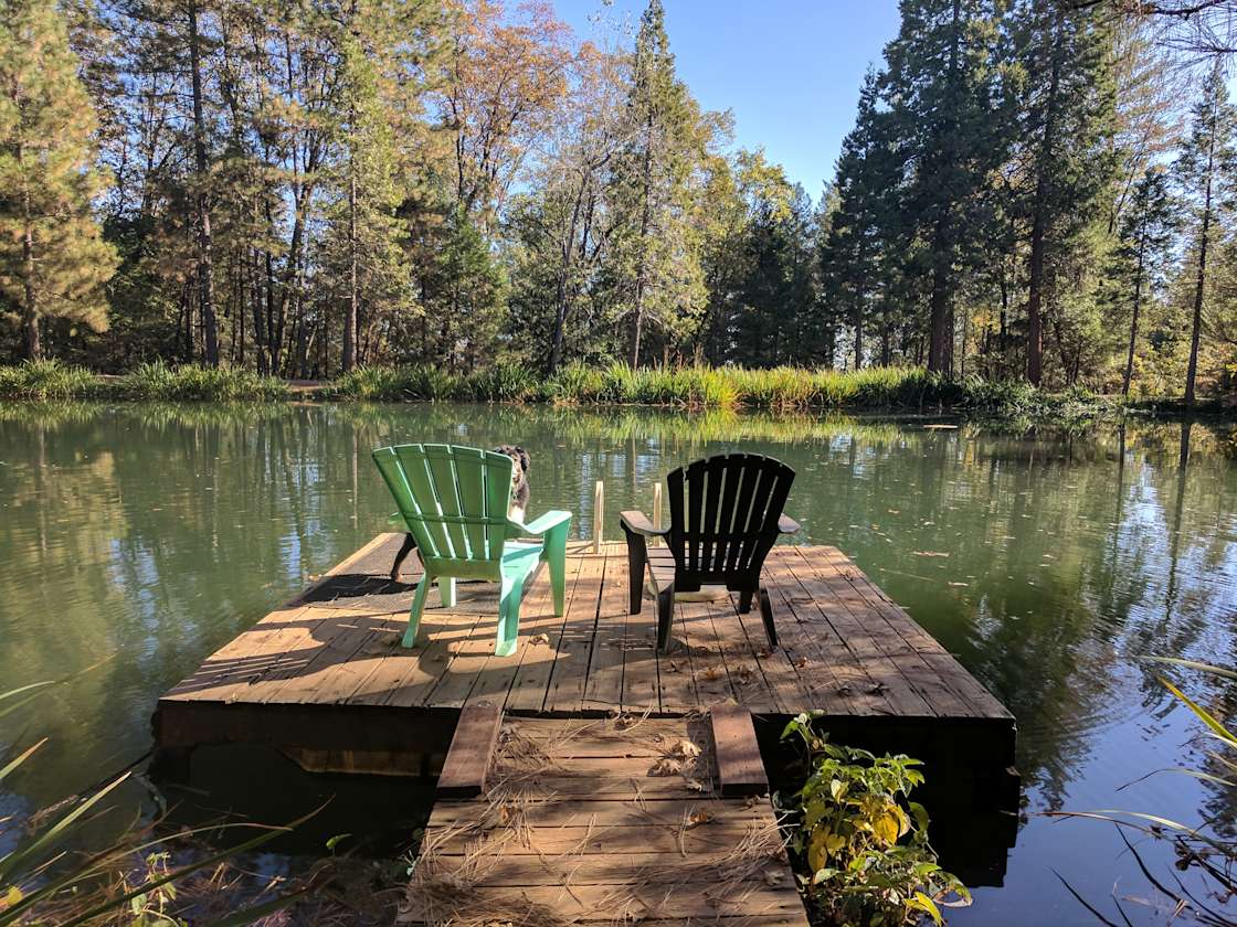 Maple Creek Ranch Hipcamp in Cohasset, California
