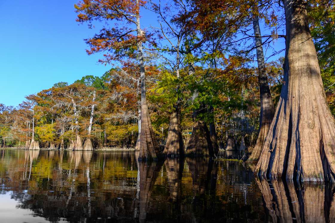 4A River Camp Hipcamp in Fort White, Florida