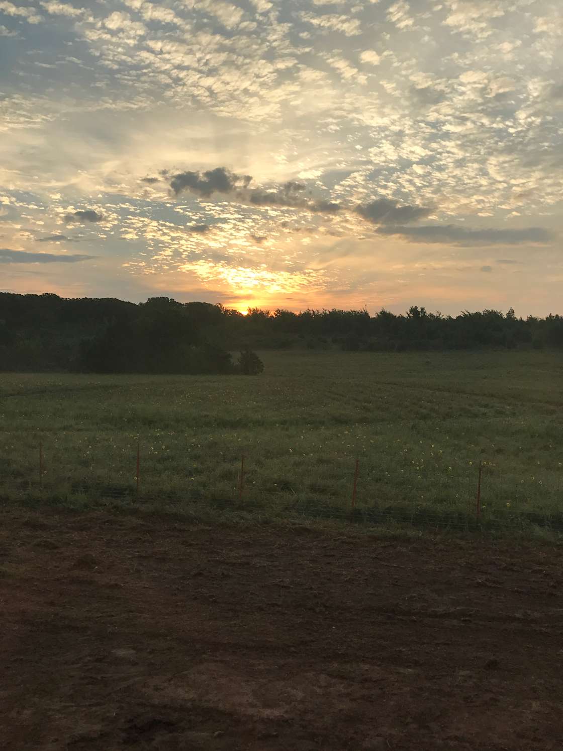 Wallerific Rescue Ranch - Hipcamp in Terlton , Oklahoma