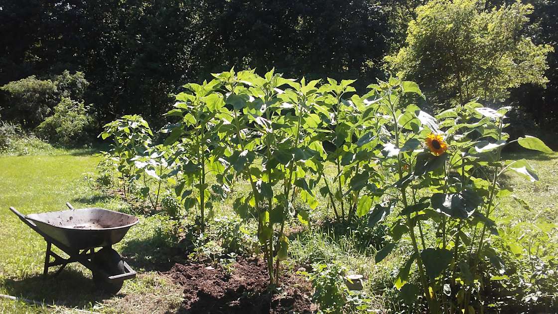 Medusa rocks! Hipcamp in Medusa, New York