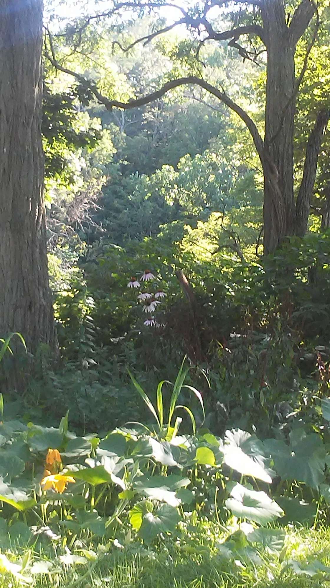 Medusa rocks! Hipcamp in Medusa, New York