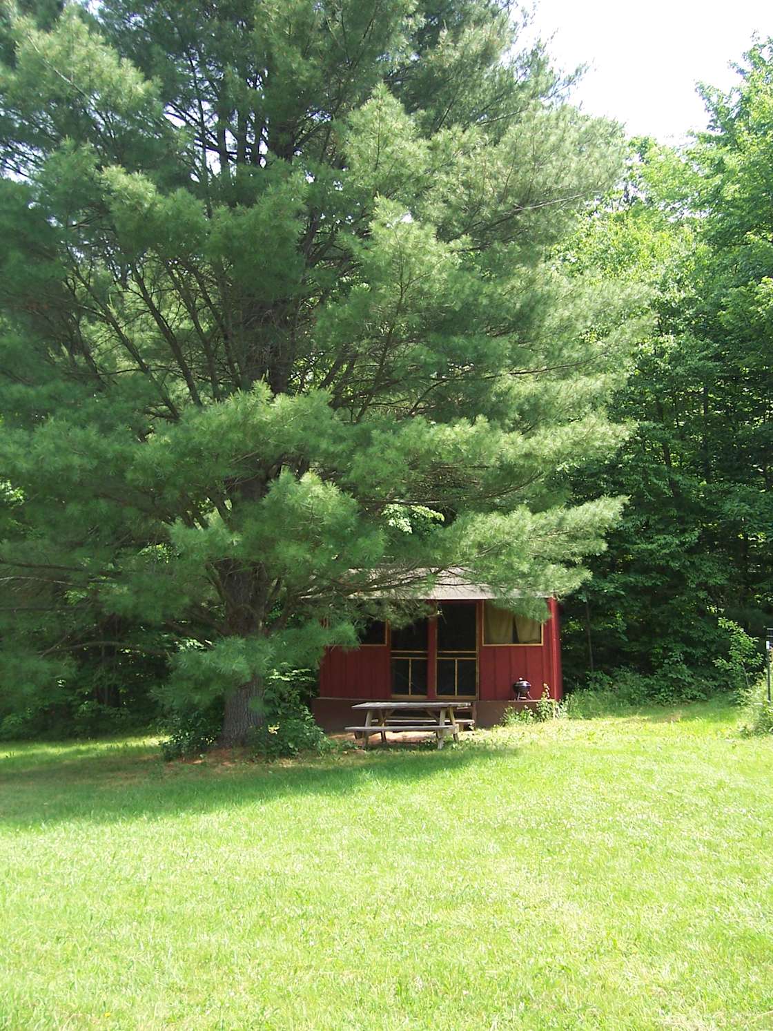 Camp Earth Connection Hipcamp in Freeville, New York