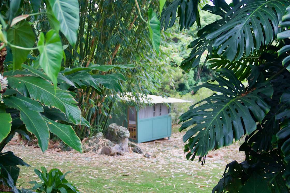 Gingerhill Farm Retreat Hipcamp in Kealakekua, Hawaii