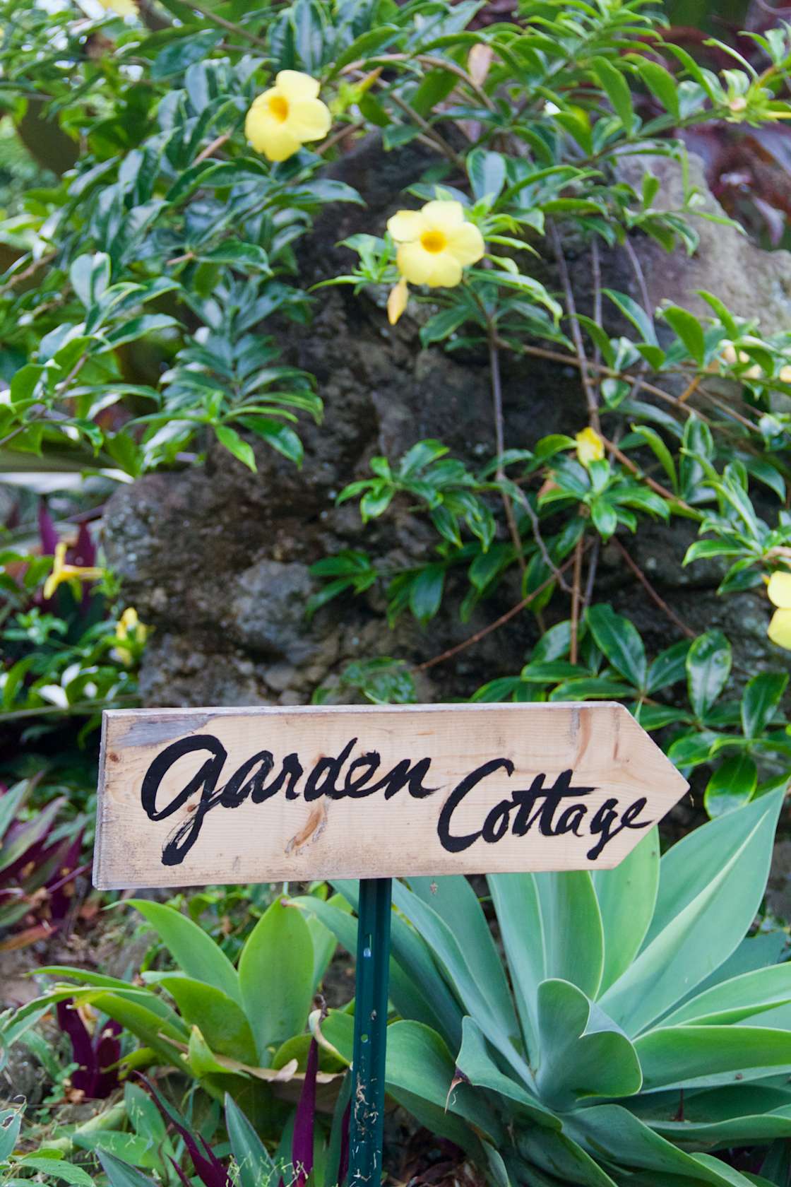 Gingerhill Farm Retreat Hipcamp in Kealakekua, Hawaii