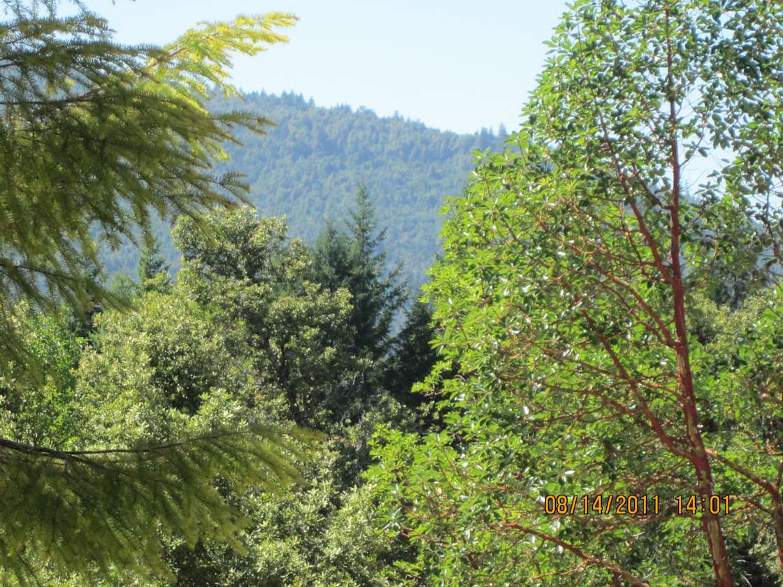 Humboldt County Land Hipcamp in Weitchpec, California