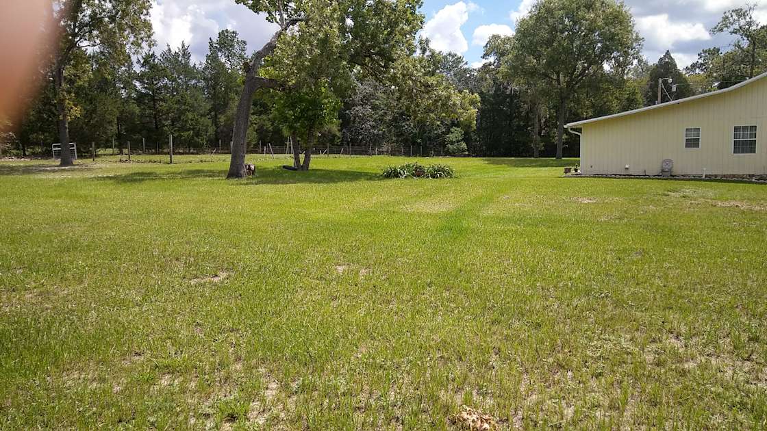 Nancy B.'s Mini Farm Hipcamp in Dunnellon, Florida