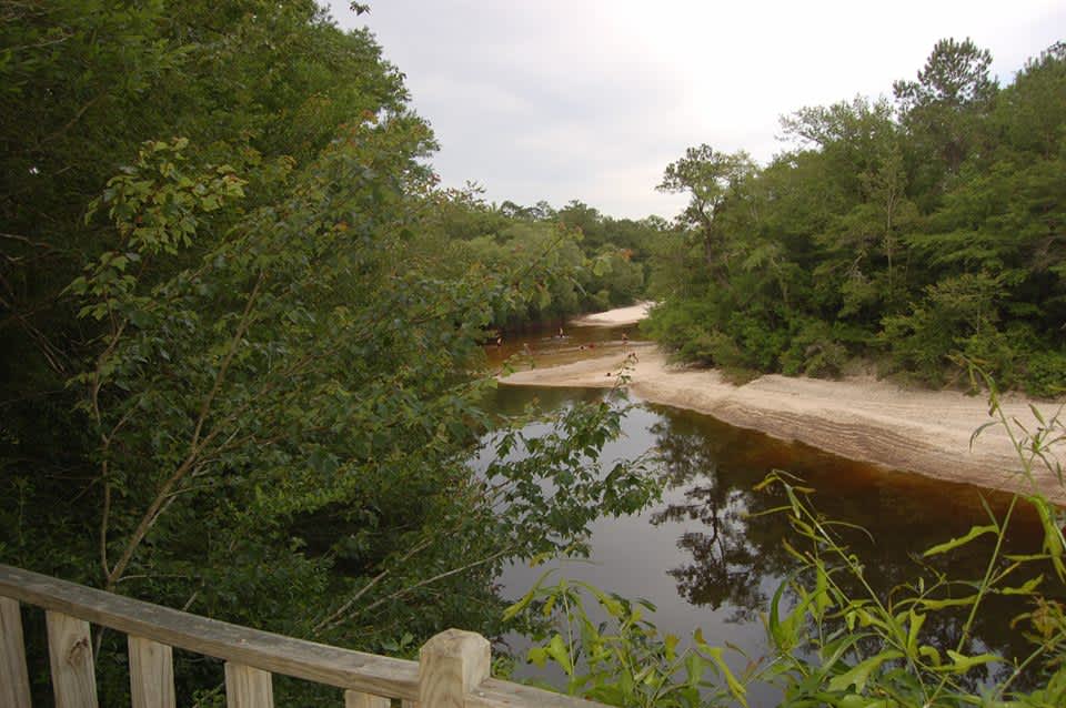 Escatawpa River Campground Hipcamp in Citronelle, Alabama