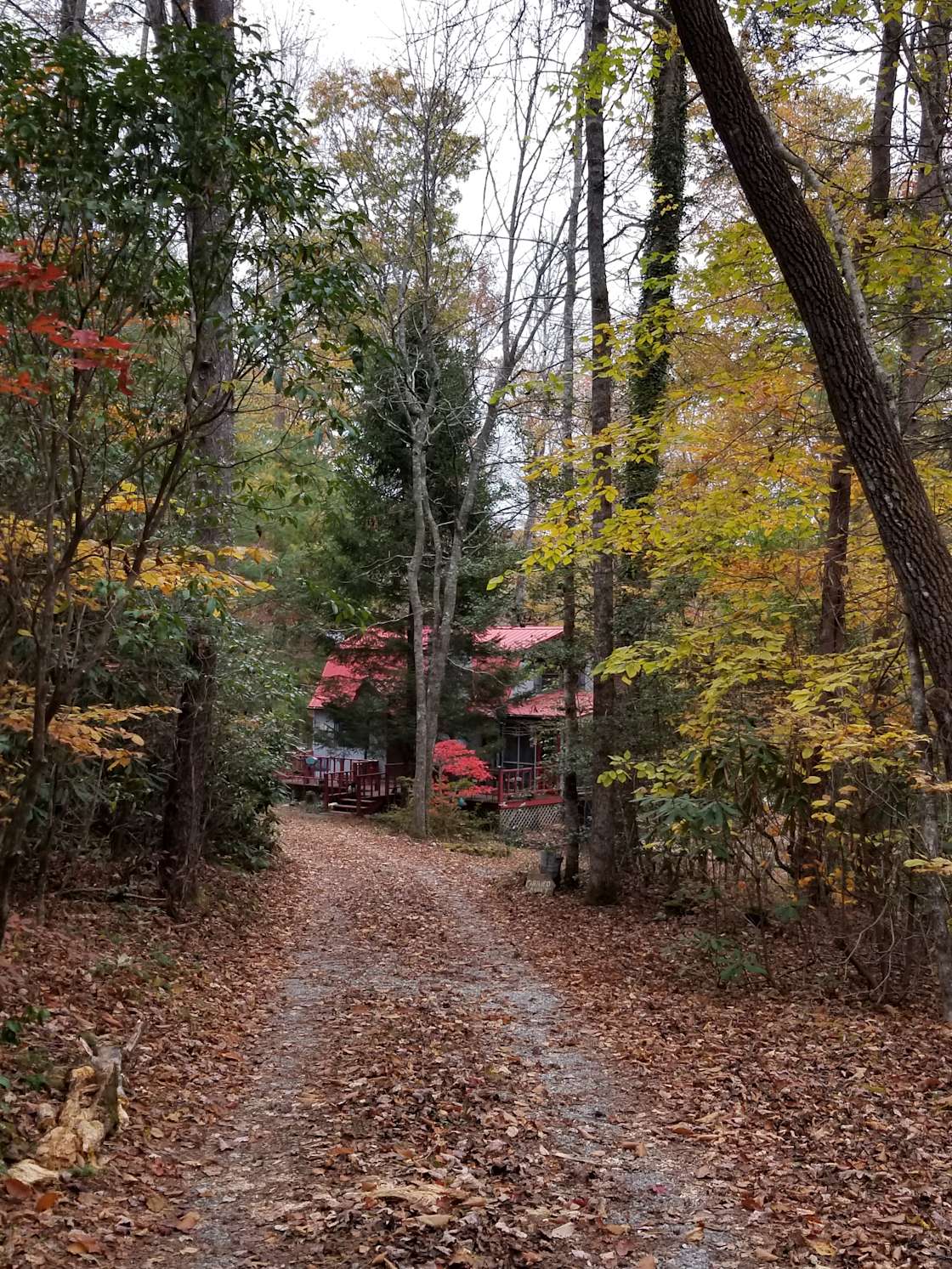Sacred Roots Hipcamp in Rosman, North Carolina