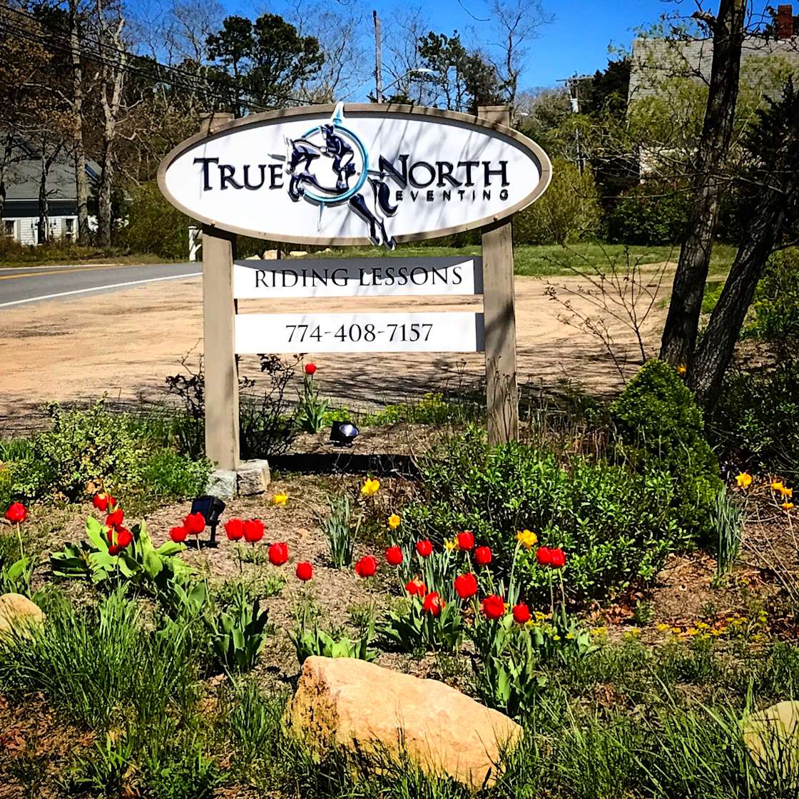 Cape Cod Horse Farm Hipcamp in Harwich, Massachusetts