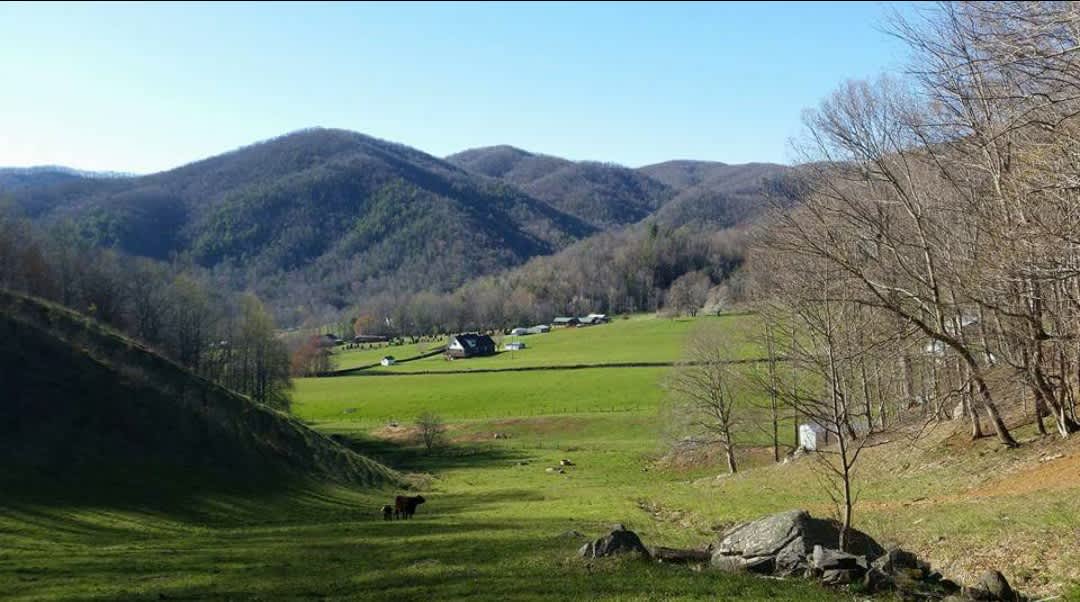 Peaceful Hillside Cottage - Hipcamp in Bakersville, North Carolina