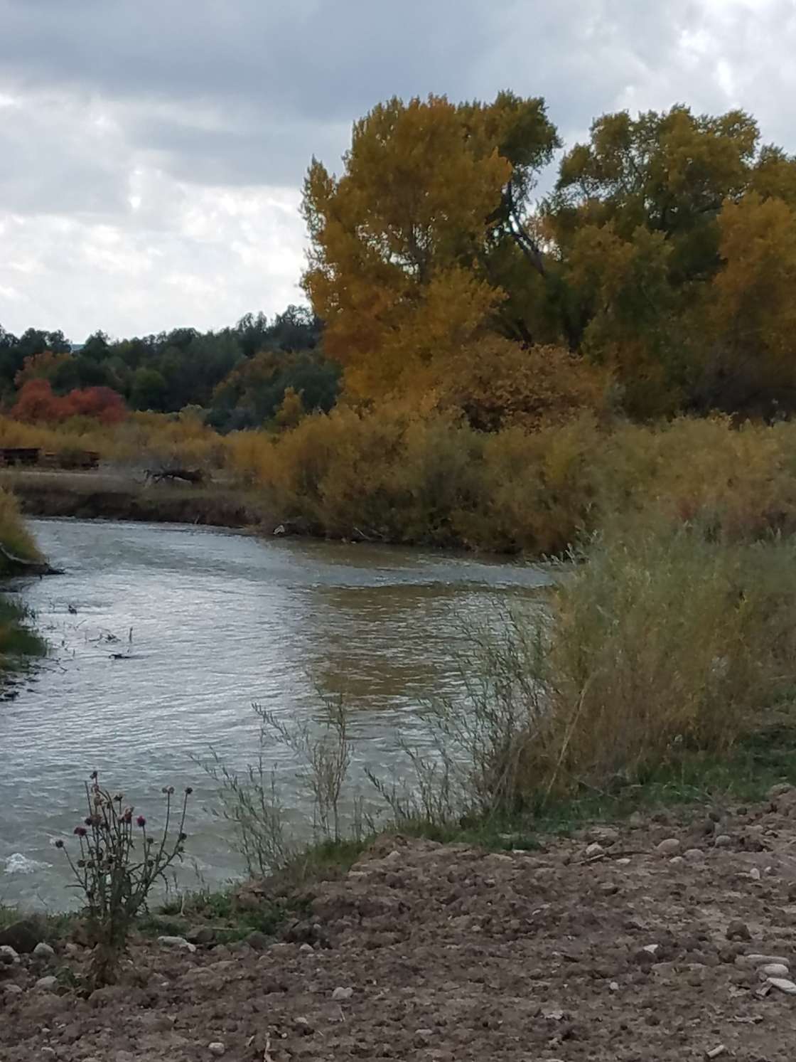 Baker's River Ranch Hipcamp in Durango, Colorado