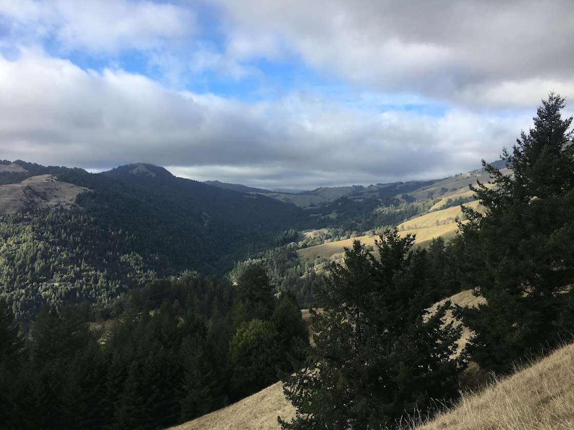 Birddog Ranch Hipcamp in Honeydew, California
