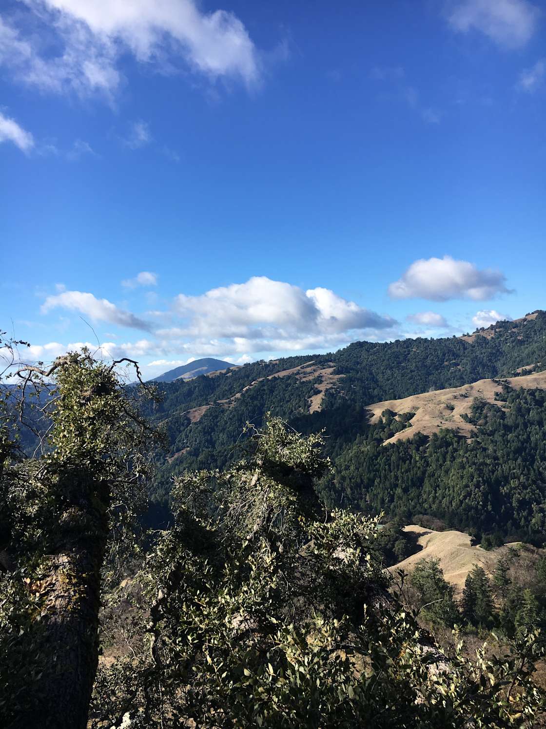 Birddog Ranch Hipcamp in Honeydew, California