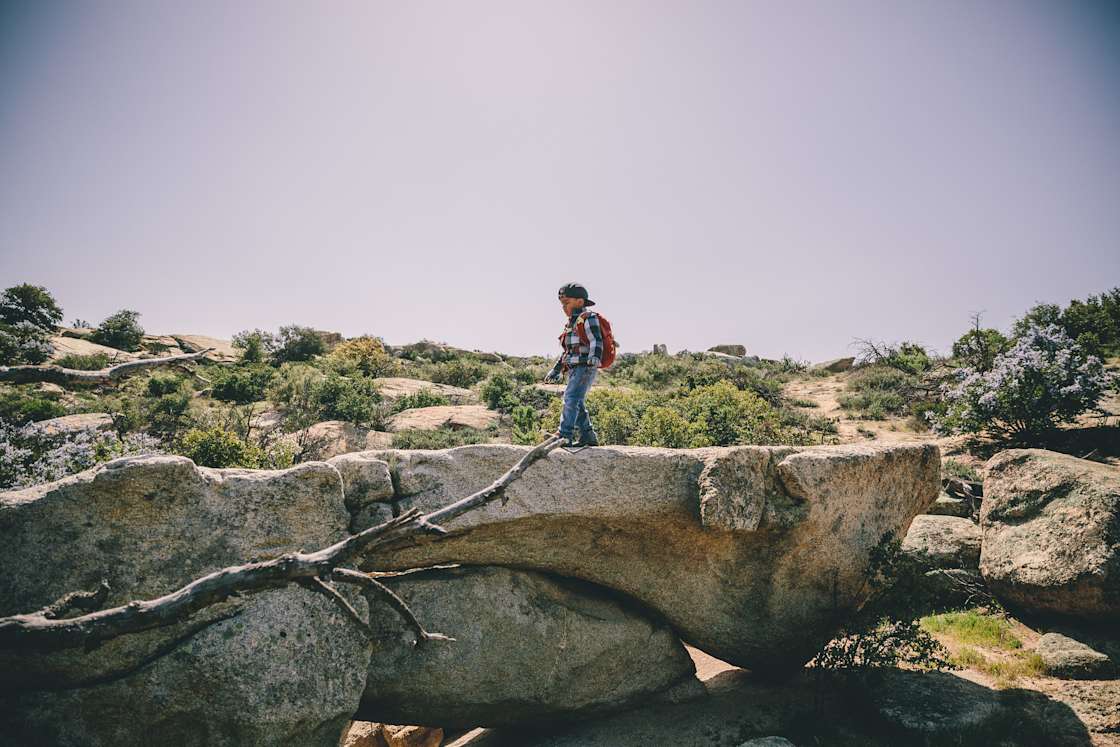 Rose Acres Farm Hipcamp in Boulevard, California